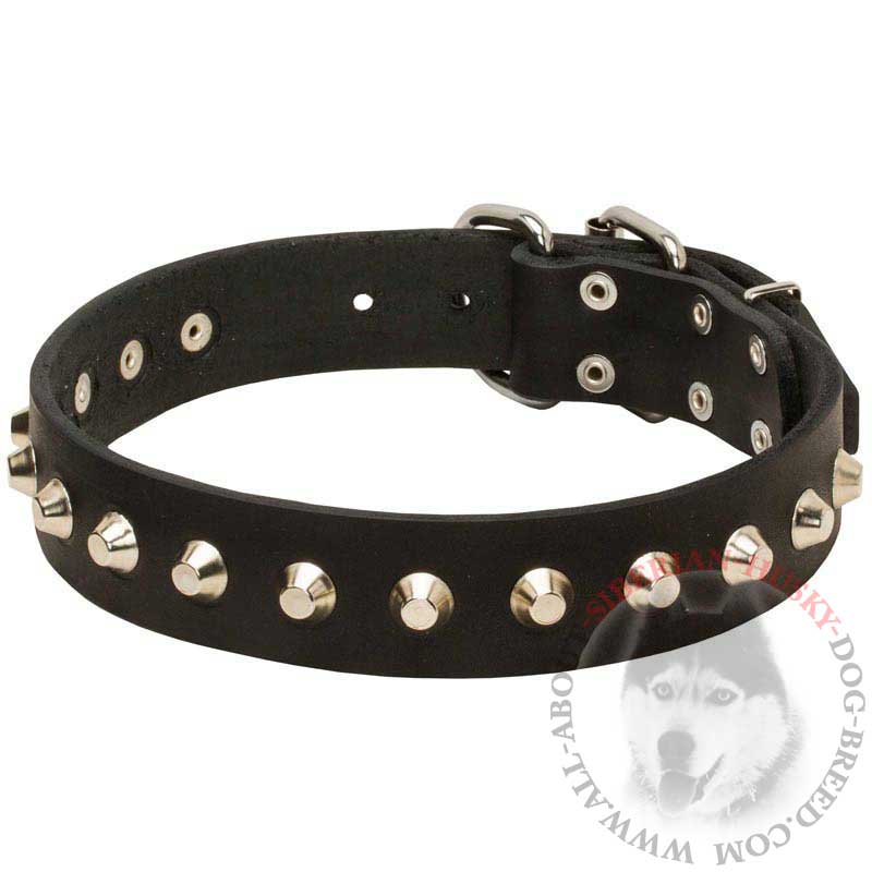 Leather Siberian Husky Collar with Symmetrical Nickel Pyramids