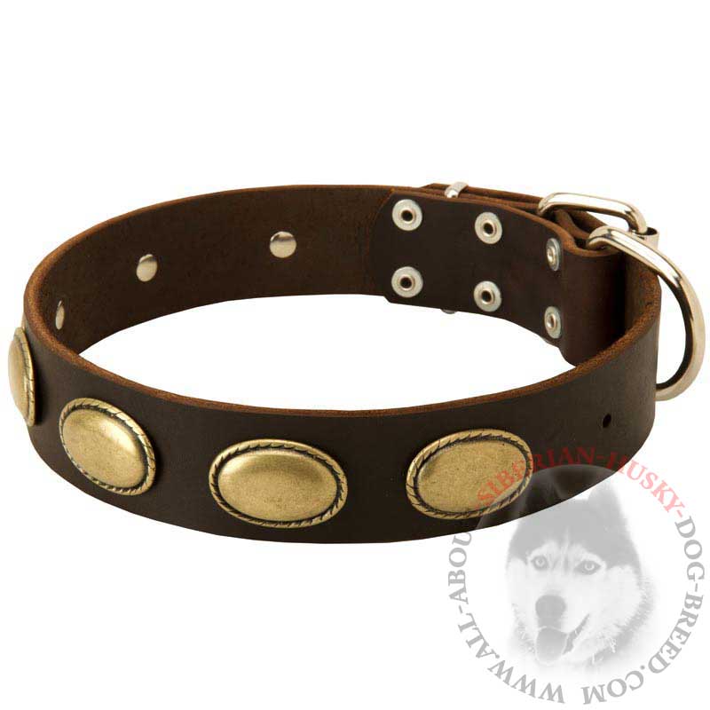Marvelous Leather Siberian Husky Collar With Vintage Oval Plates for Walking