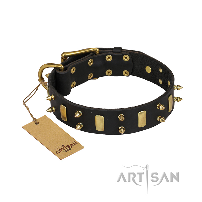 'Medieval Style' FDT Artisan Leather Siberian Husky Collar with Brass Plates and Spikes