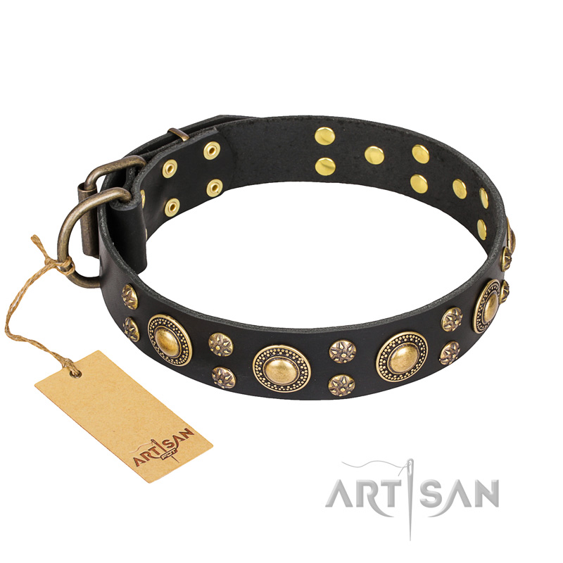 'Baroque Chic' FDT Artisan Studded Black Leather Siberian Husky Collar