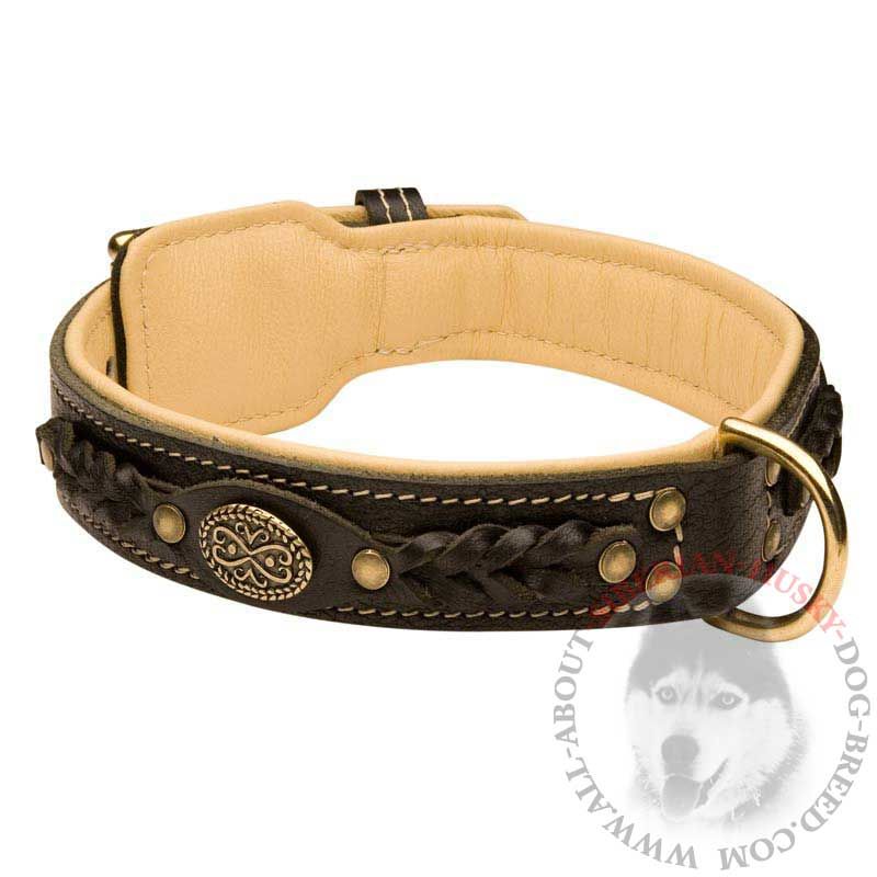 Nappa Padded Leather Siberian Husky Collar - Exclusive Design