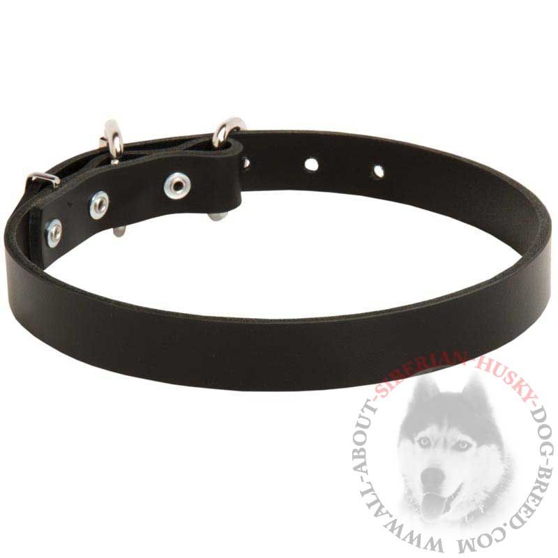 Exclusive Leather Siberian Husky 【Collar】 for Dog Walking Siberian