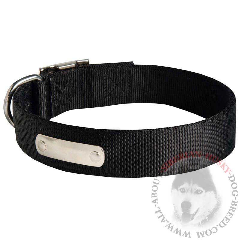 Identification Nylon Siberian Husky Collar for Dog Training