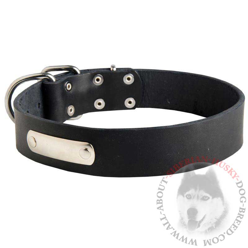 Durable Leather Siberian Husky Collar with Free ID Tag