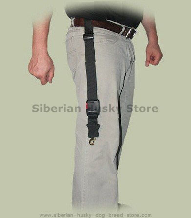 Free Hands Dog Leash for Siberian Husky