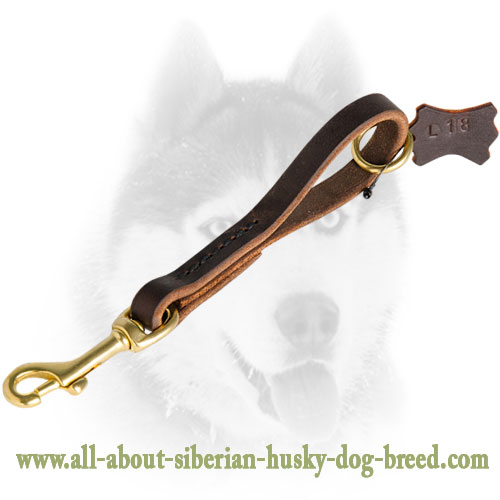 Fast Grab Pull Tab Leather Siberian Husky Leash