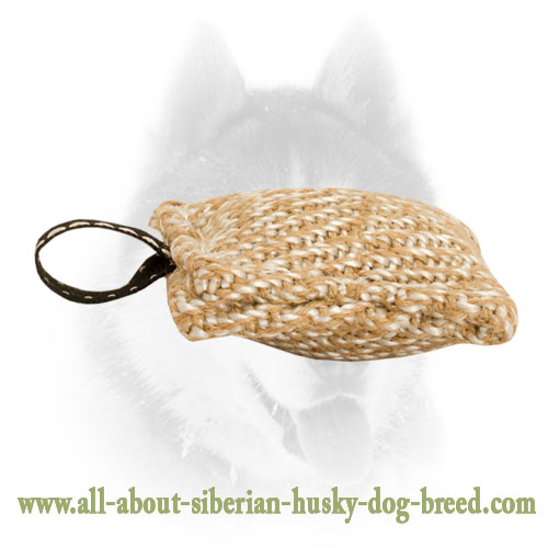 New Jute Bite Tug with Small Loop for Siberian Husky Puppies