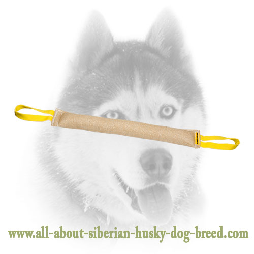 Siberian Husky Jute Bite Tug for Dog Bite Skills Improvement