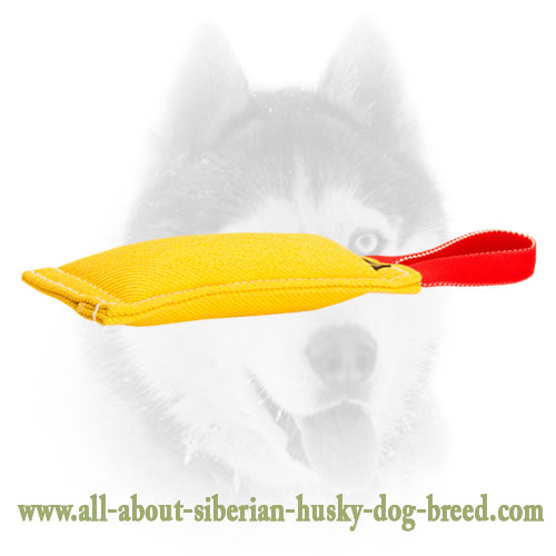 Dog-Friendly French Linen Siberian Husky Bite Tug for Bite Work