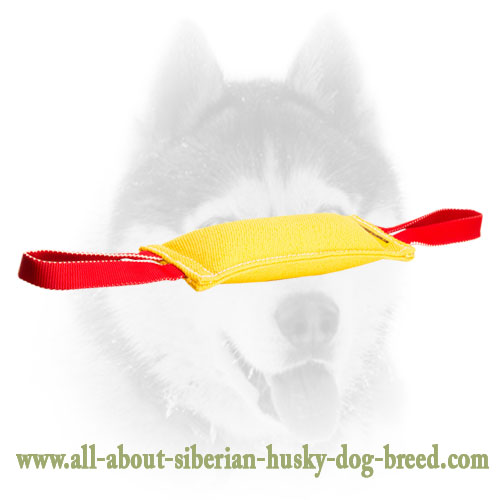 Siberian Husky Sturdy French Linen Dog Bite Tug