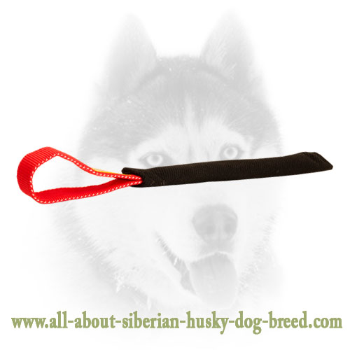 Puppy Training Pocket Toy with Handle for Young Siberian Husky
