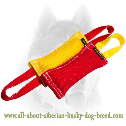 Siberian Husky Bite Tugs Set for Efficient Puppy Training