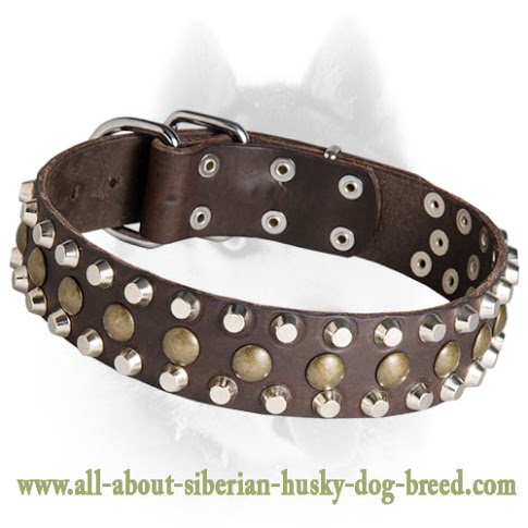 Elegant Leather Siberian Husky Collar with 3 Rows of Studs and Pyramids