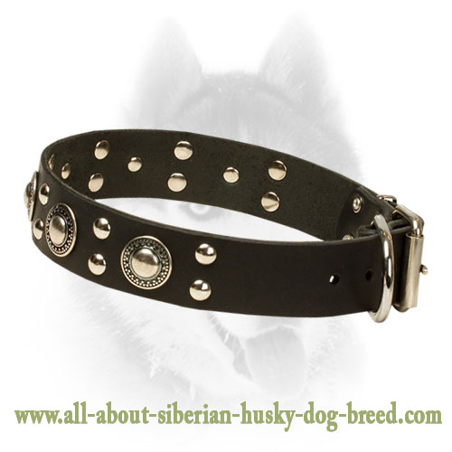 Siberian Husky Dog Collar with Conchos & Studs