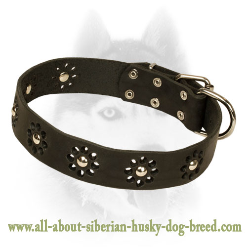 Studded Leather Dog Collar