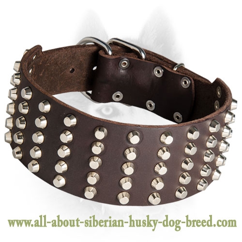 Super Wide Siberian Husky Leather Collar for Extra Comfort