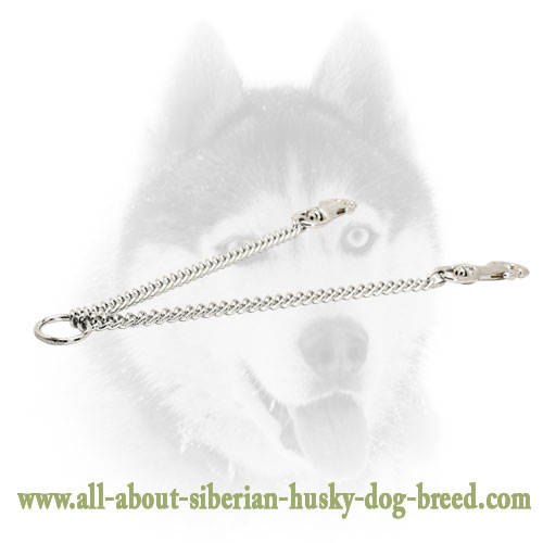 Chrome Plated Siberian Husky Coupler for Walking 2 Dogs