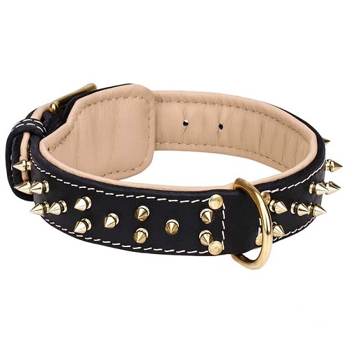 Siberian Husky Leather Nappa Padded Collar with Brass Spikes - Click Image to Close