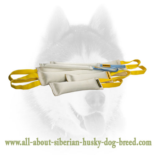 Fire Hose Bite Tugs Training Set