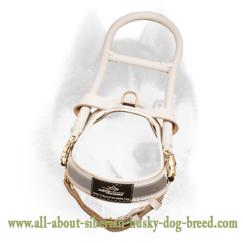 Leather Guide Dog Harness for Easy Walking