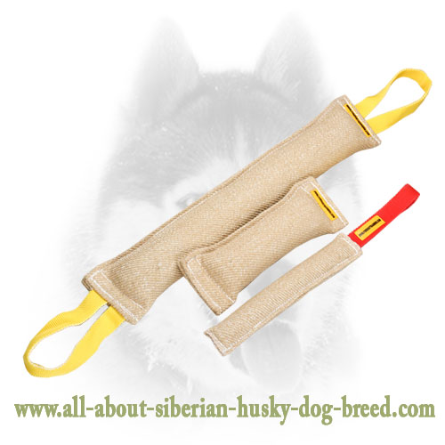 Siberian Husky Jute Bite Tugs Training Set