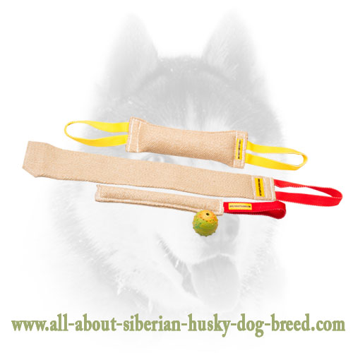 Siberian Husky Training Jute Bite Set of Tugs for Puppy