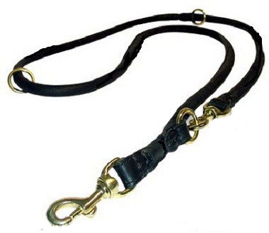 Feature-Rich Leather Round Leash for Siberian Husky