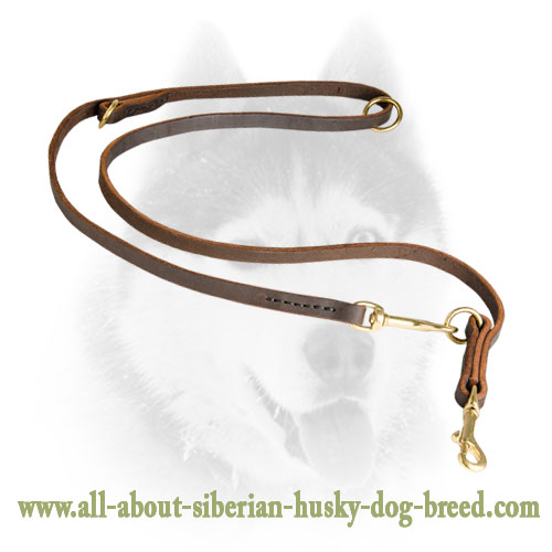 Multifunctional Leather Leash For Walking and Training Siberian Husky