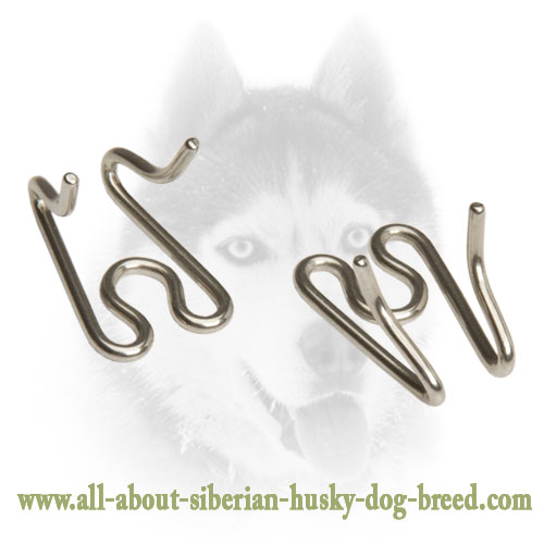 Extra Links for Herm Sprenger Stainless Steel Pinch Prong Collar 50045 (55) 1/6 inch (3.99 mm)