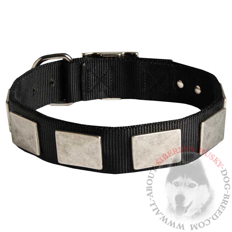 Water Resistant Nylon Siberian Husky Collar with Massive Plates