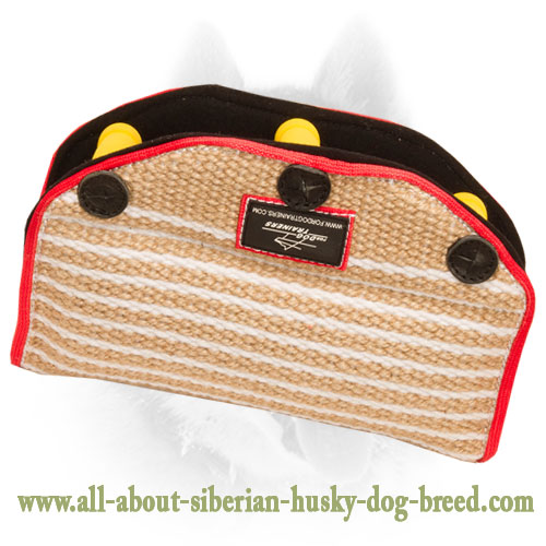 Siberian Husky Bite Builder for Puppies and Young Dogs