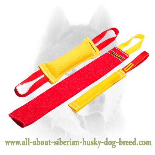 Puppy Training Set for Fun Training