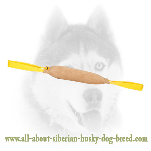 Strong Leather Training Dog Bite Tug with 2 Handles for Siberian Husky