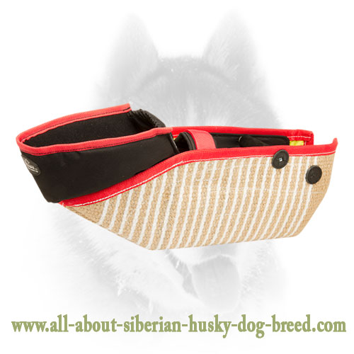 Effective and Safe Training with Dog Bite Sleeve of Jute Material