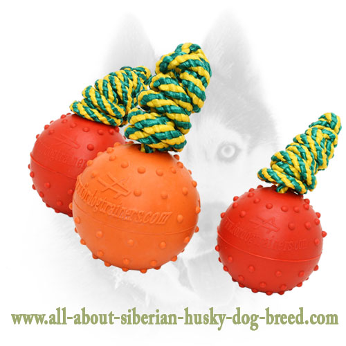 Siberian Husky Solid Rubber Dog Training Water Ball - 2 1/3 inch (6 cm)