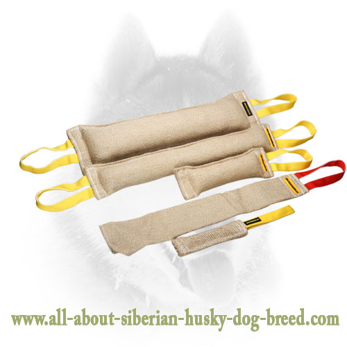 Training Set of Jute for Adult Siberian Husky