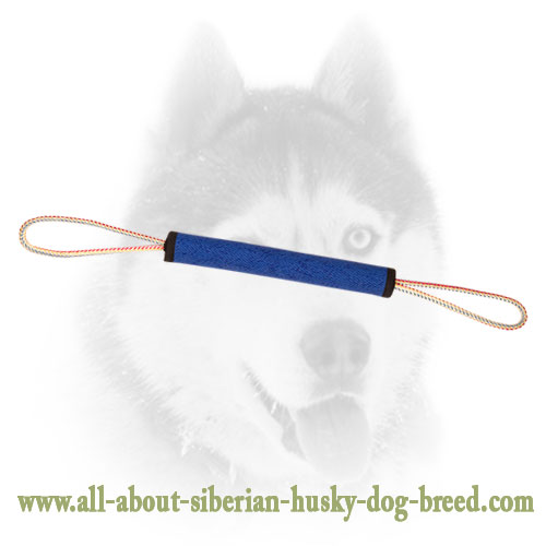 Dog Play Roll Made of French Linen for Siberian Husky