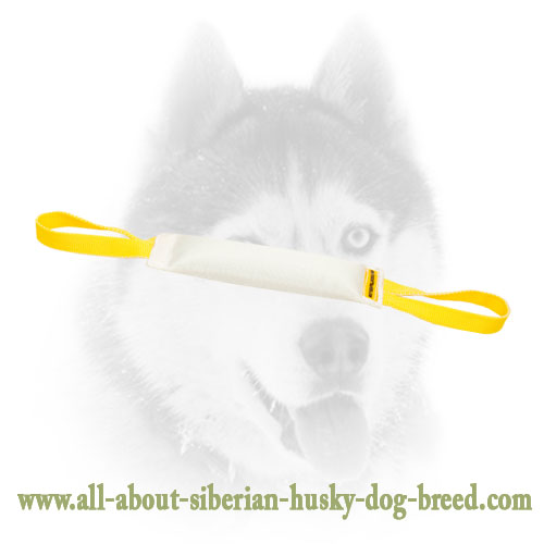 Fire Hose Dog Bite Tug With 2 Handles for Siberian Husky Training