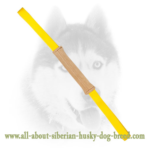 Dog Play Tug Made of Leather for Siberian Husky