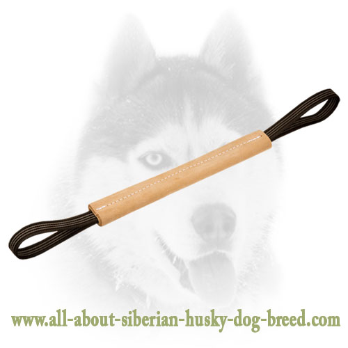 Buy Leather Bite Tug with Handle for Siberian Husky Puppy Training