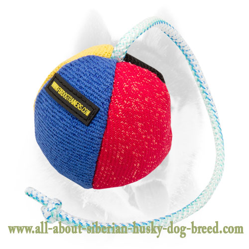 French Linen Siberian Husky Toy for Training and Playing - 3 1/2 inch (9 cm)