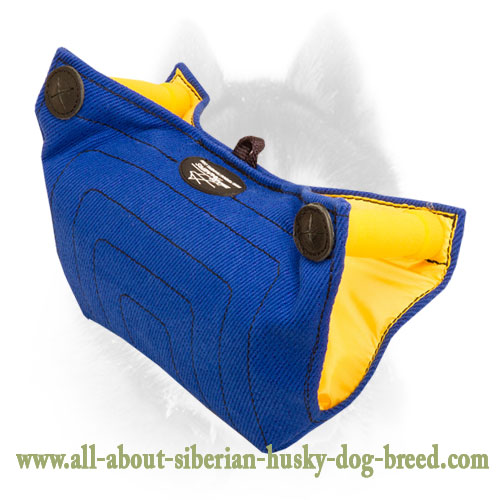 Puppy and Young Dog Bite Builder Made of French Linen