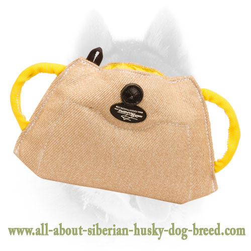 Advanced Jute Puppy Bite Developer