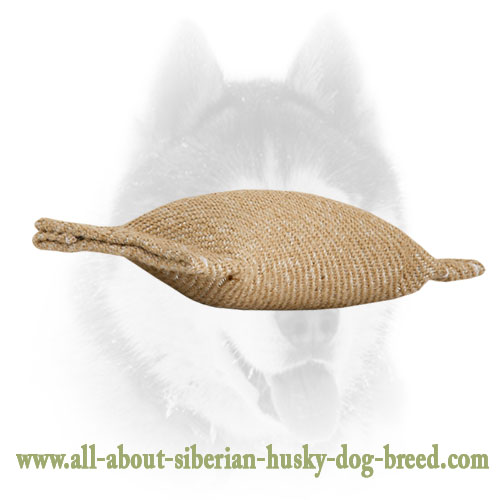 Small Siberian Husky Jute Bite Tug for Puppy Training