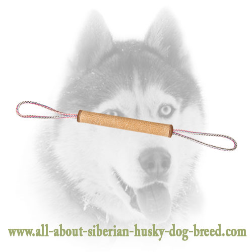 Rolled Jute Bite Tug for Siberian Husky Puppies