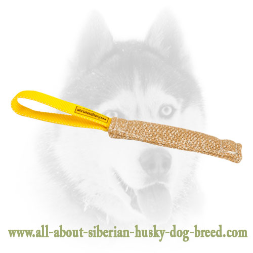 Siberian Husky Jute Bite Tug with Comfortable Loop