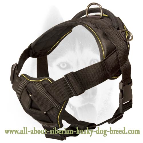 Super safe new design nylon harness for more comfort of your Siberian Husky