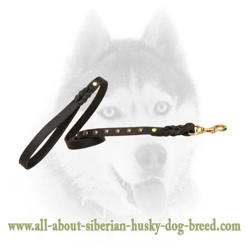 Handcrafted leather studded leash for Siberian Husky
