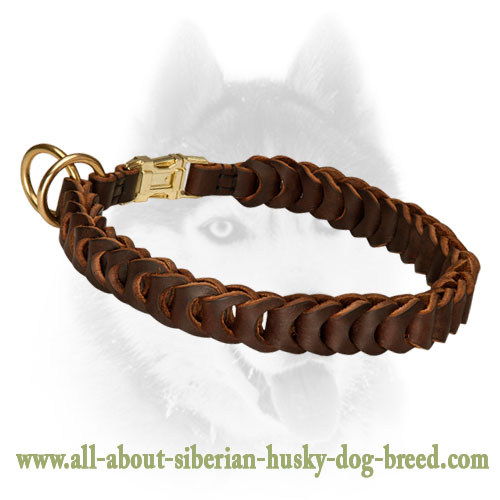 Fantastic Leather Braided Choke Collar for Siberian Husky Breed