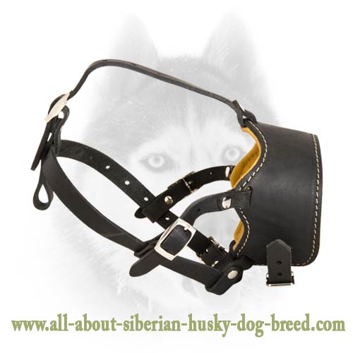 Four Ways Adjustable Muzzle for Siberian Husky